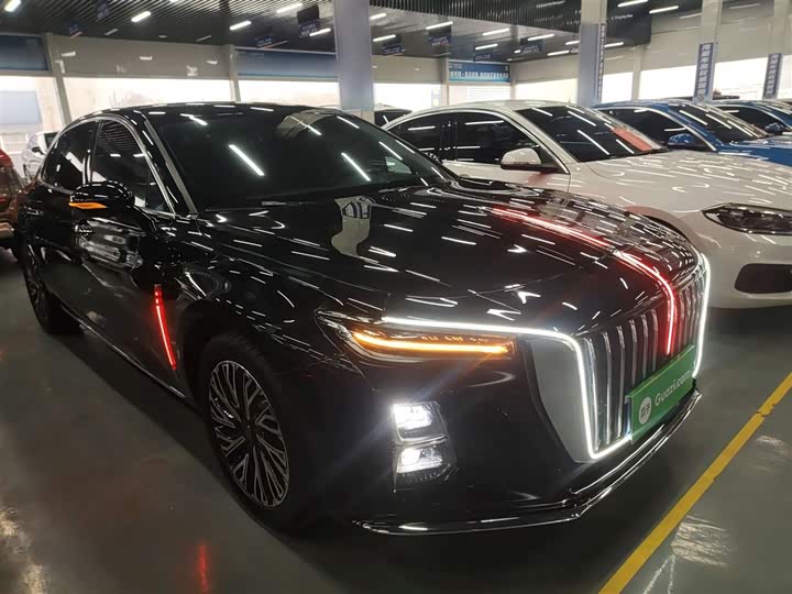 Фото 4 - Hongqi H5