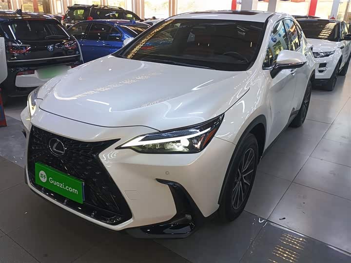 Фото 1 - Lexus NX