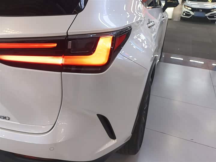 Фото 8 - Lexus NX