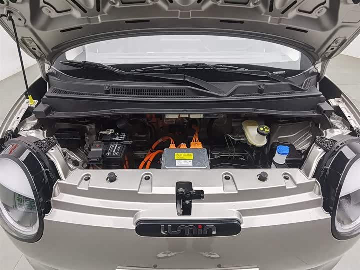 Фото 6 - Changan Qiyuan (Nevo) Lumin