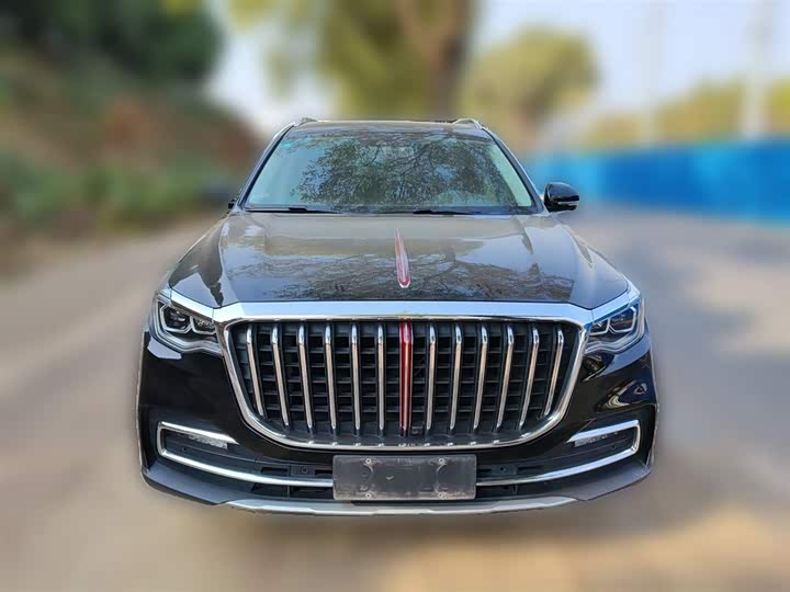 Фото 5 - Hongqi HS7