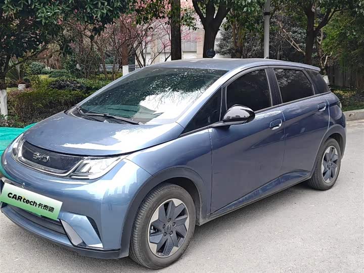 Фото 1 - BYD Dolphin