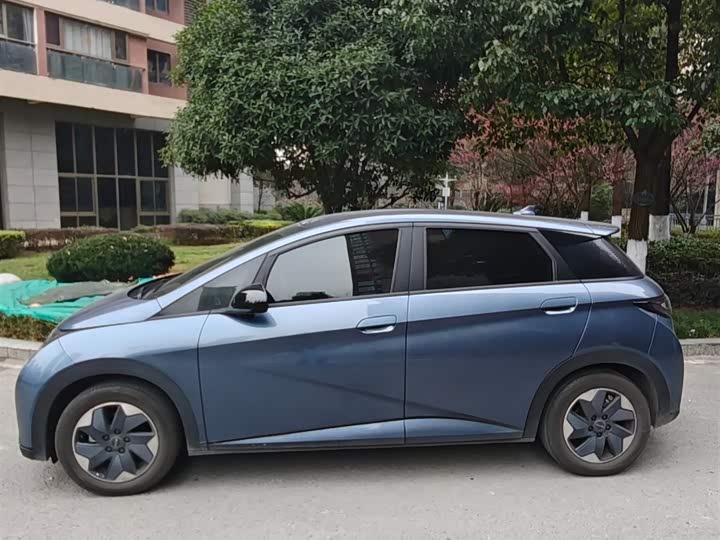 Фото 6 - BYD Dolphin