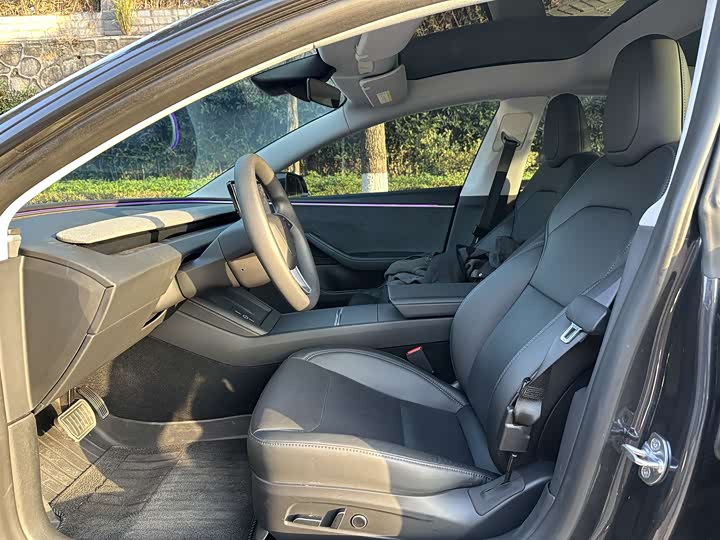 Фото 4 - Tesla Model 3