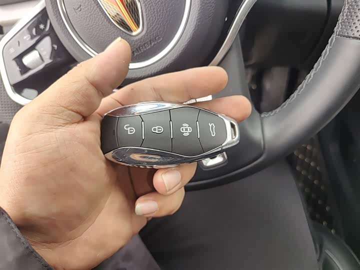 Фото 9 - Hongqi HS7 Hybrid