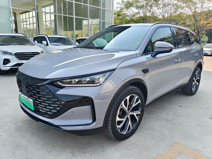 Фото 1 - BYD Tang Hybrid/EV