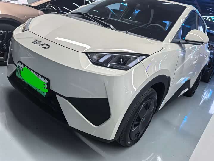 Фото 1 - BYD Seagull