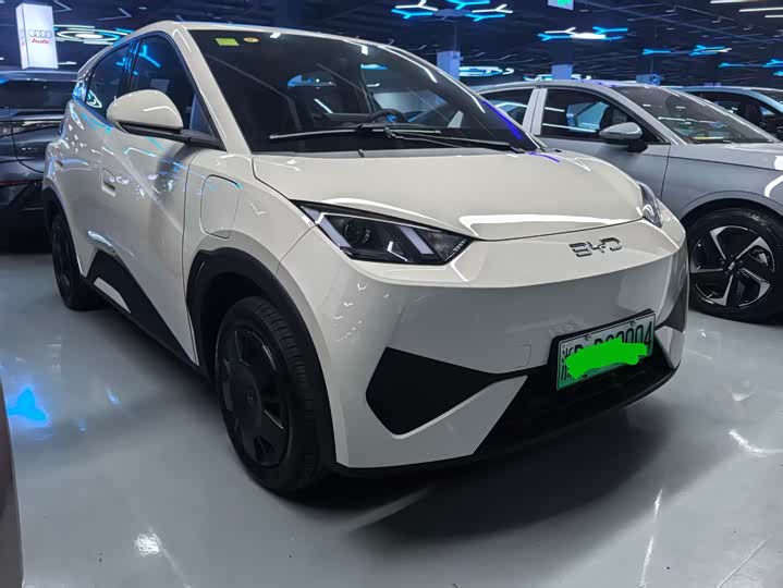 Фото 2 - BYD Seagull