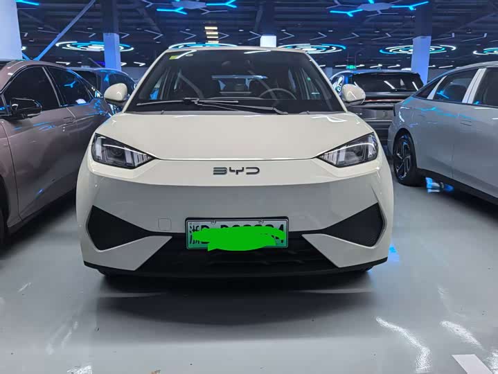 Фото 3 - BYD Seagull