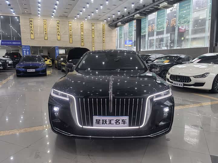 Фото 2 - Hongqi H9