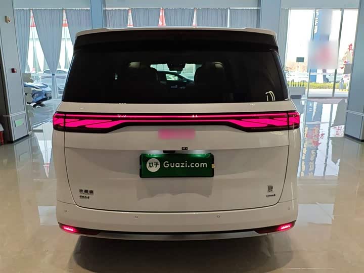 Фото 6 - BYD Xia