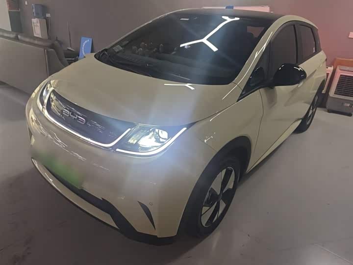 Фото 2 - BYD Dolphin