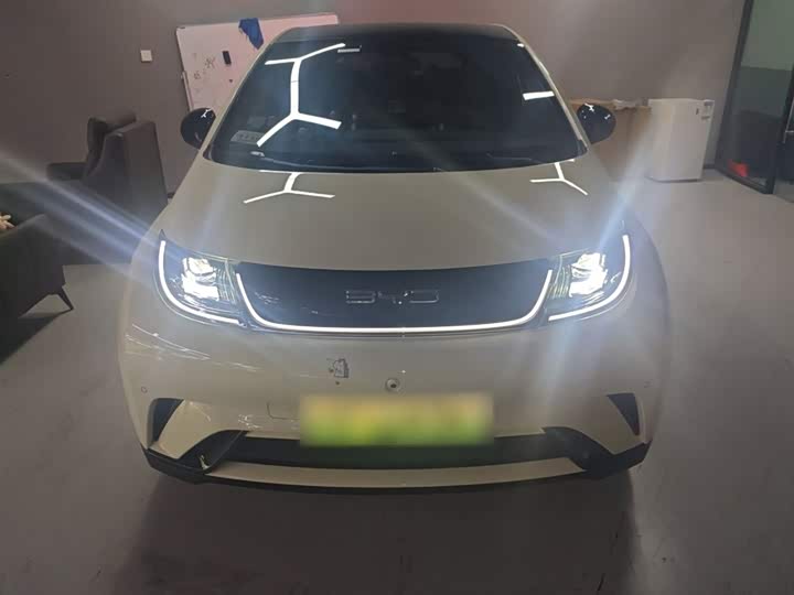 Фото 3 - BYD Dolphin