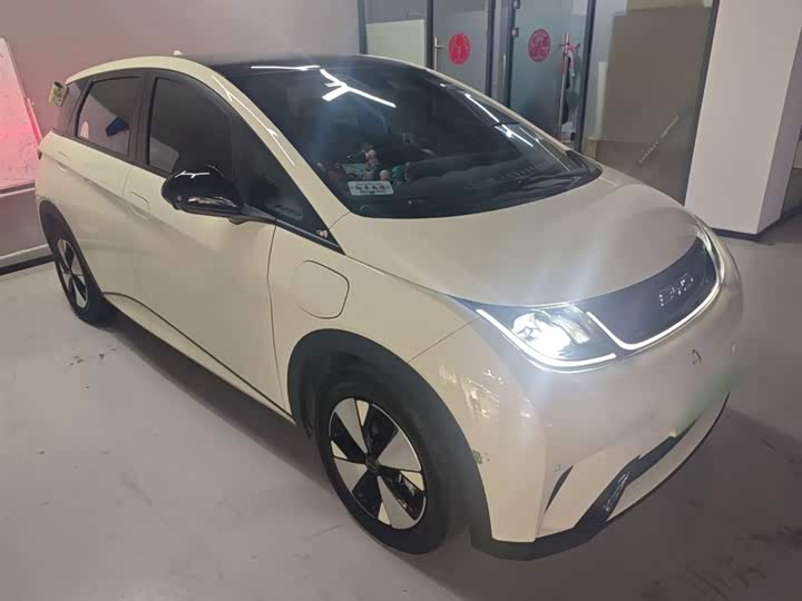 Фото 4 - BYD Dolphin