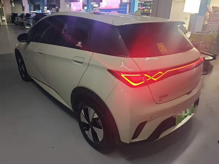 Фото 5 - BYD Dolphin