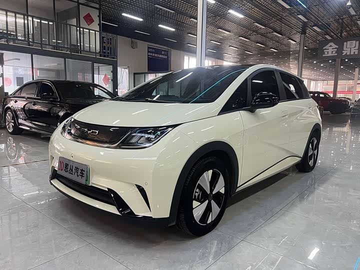 Фото 1 - BYD Dolphin