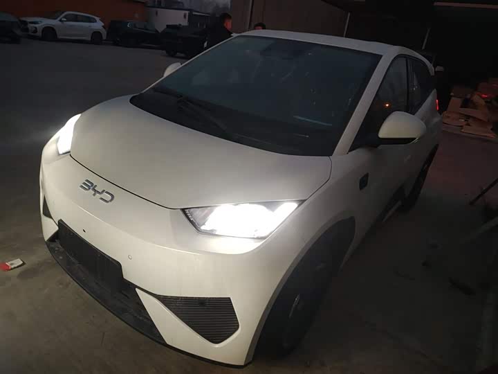 Фото 2 - BYD Seagull