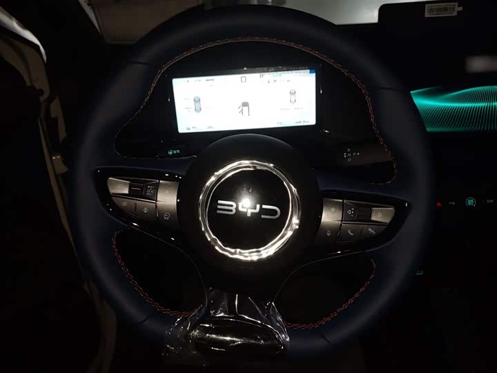 Фото 3 - BYD Seagull