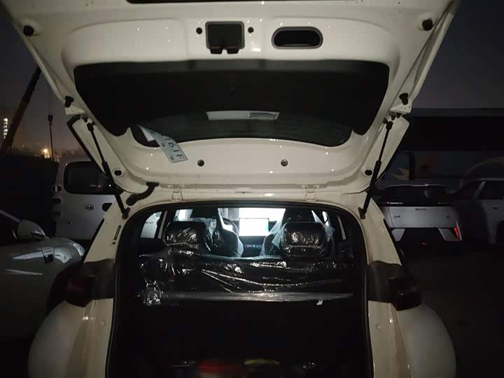 Фото 9 - BYD Seagull