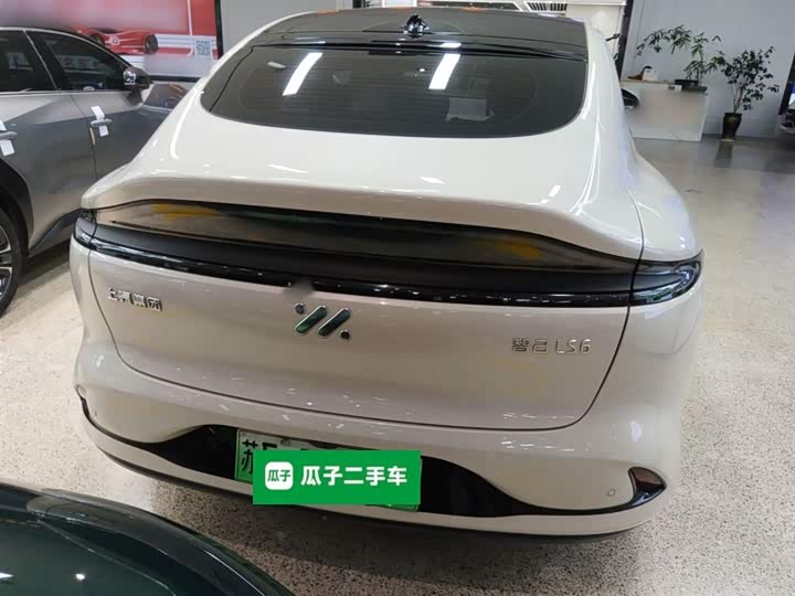 Фото 6 - IM motors LS6