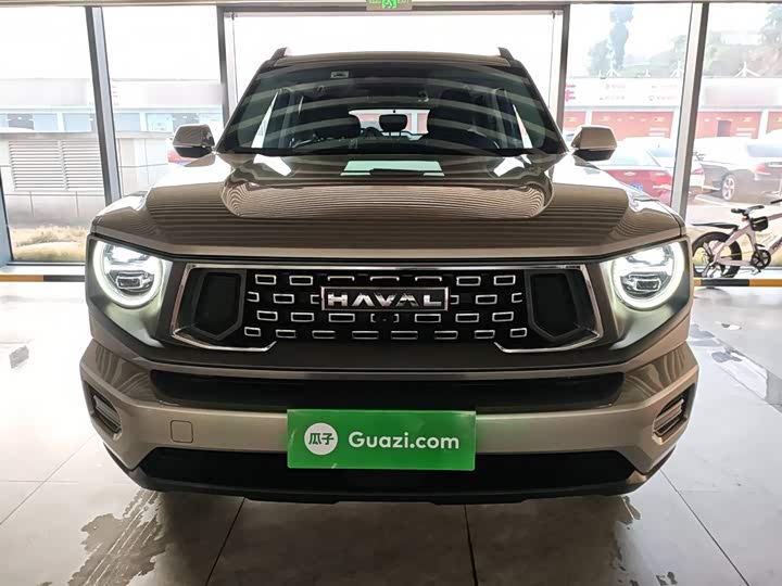 Фото 3 - Haval H-Dog