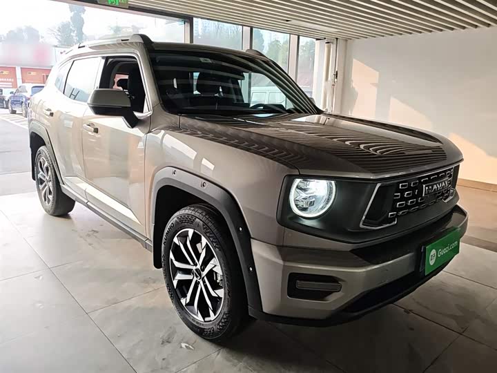 Фото 4 - Haval H-Dog