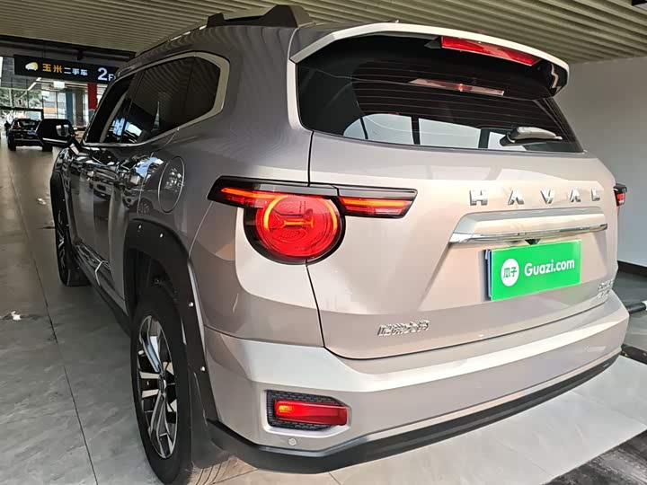 Фото 5 - Haval H-Dog