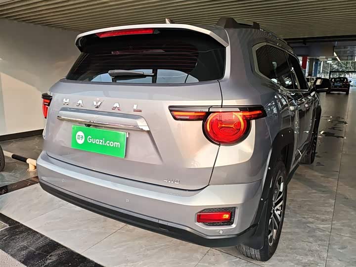 Фото 7 - Haval H-Dog