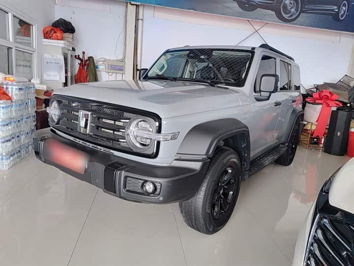 Фото 2 - Tank 300