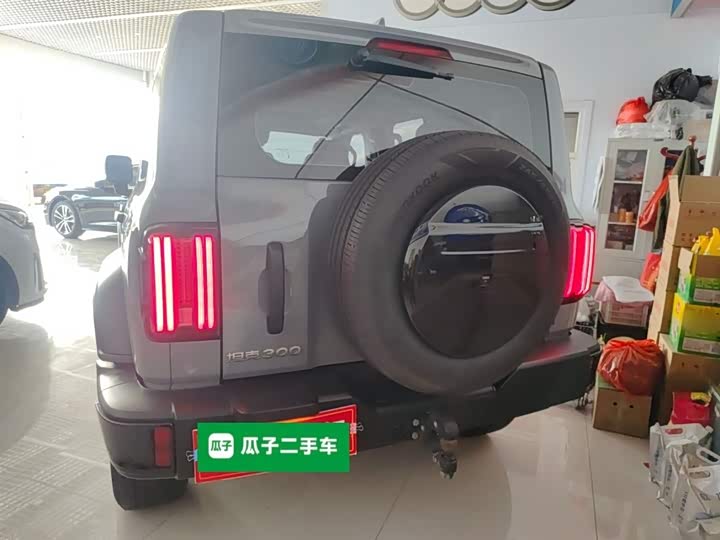 Фото 6 - Tank 300