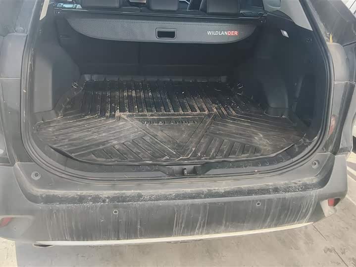 Фото 4 - Toyota Wildlander