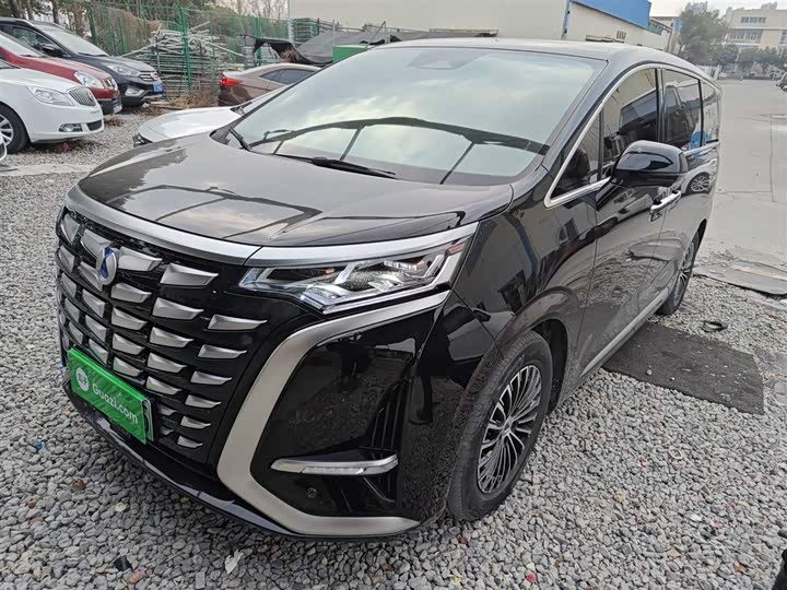 Фото 2 - Denza D9