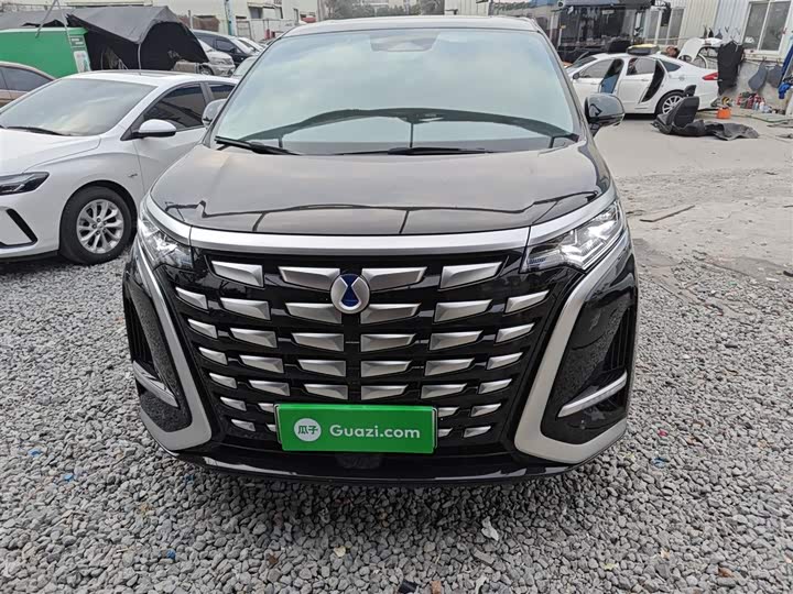 Фото 3 - Denza D9