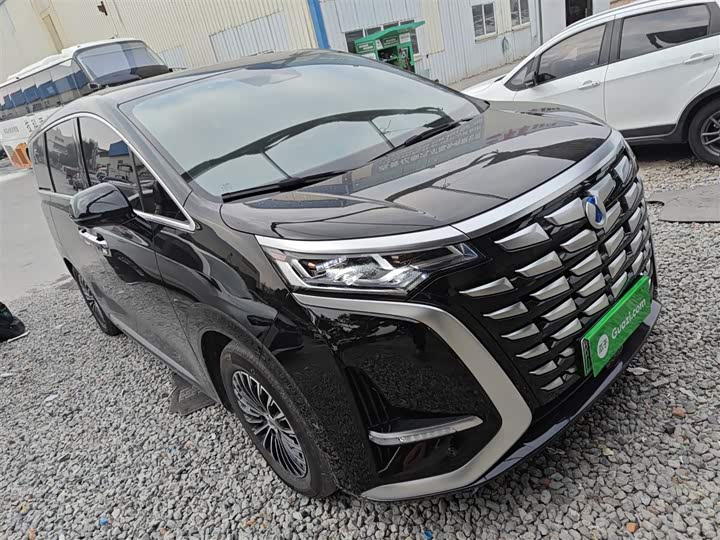 Фото 4 - Denza D9