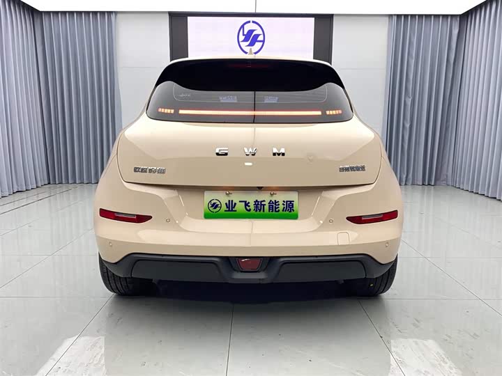 Фото 5 - Ora Good Cat (03)