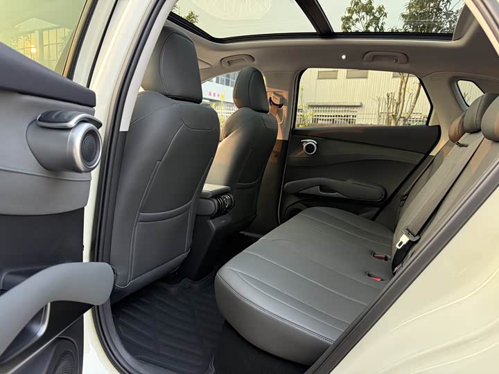 Фото 6 - BYD Yuan Plus