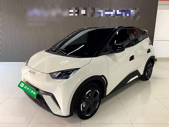 Фото 2 - BYD Seagull