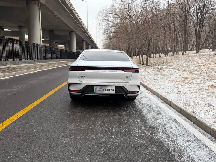 Фото 6 - BYD Han