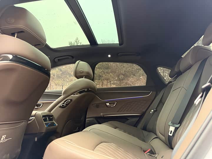 Фото 9 - BYD Han