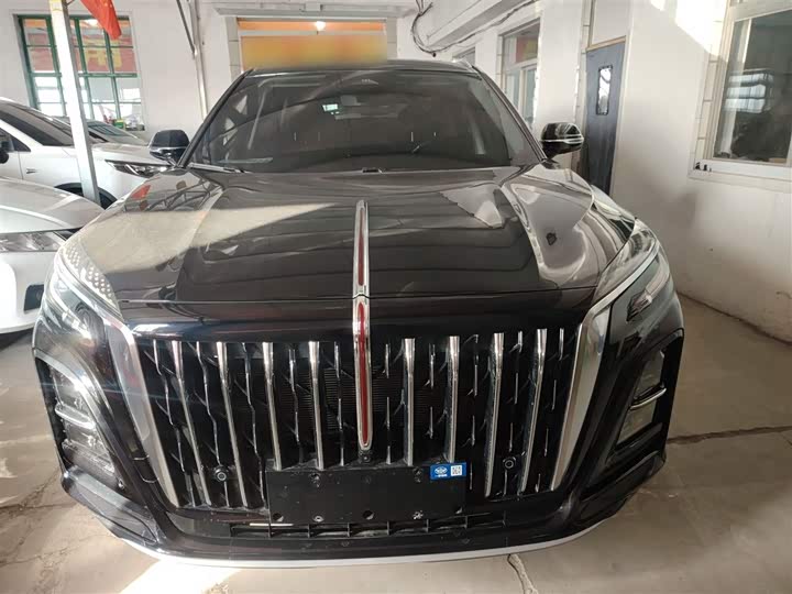 Фото 4 - Hongqi HS3 Hybrid