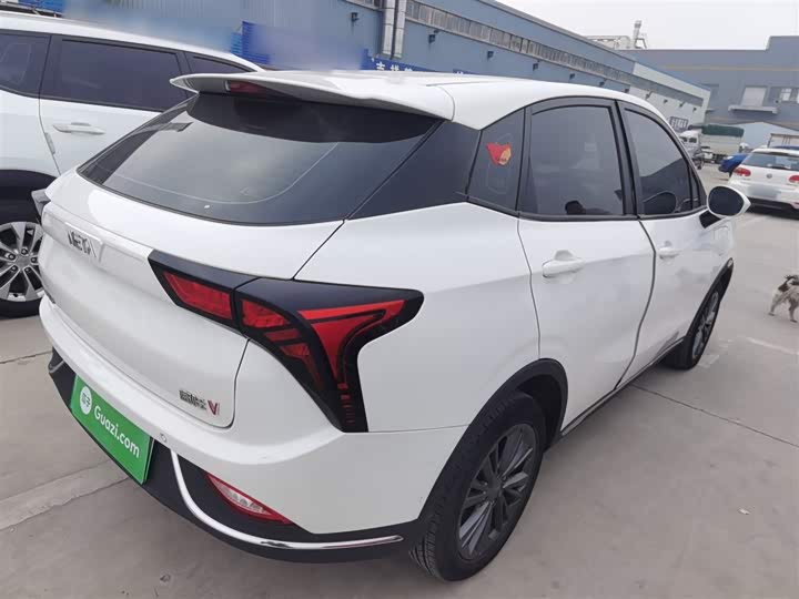 Фото 7 - Hozon V