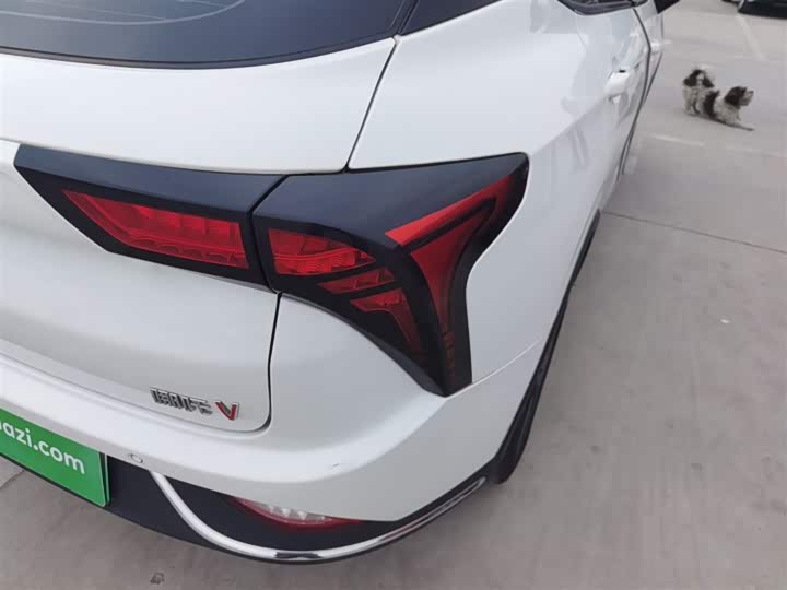 Фото 8 - Hozon V