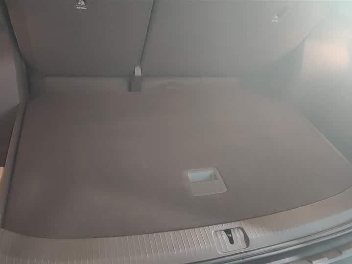 Фото 4 - Volkswagen Viloran