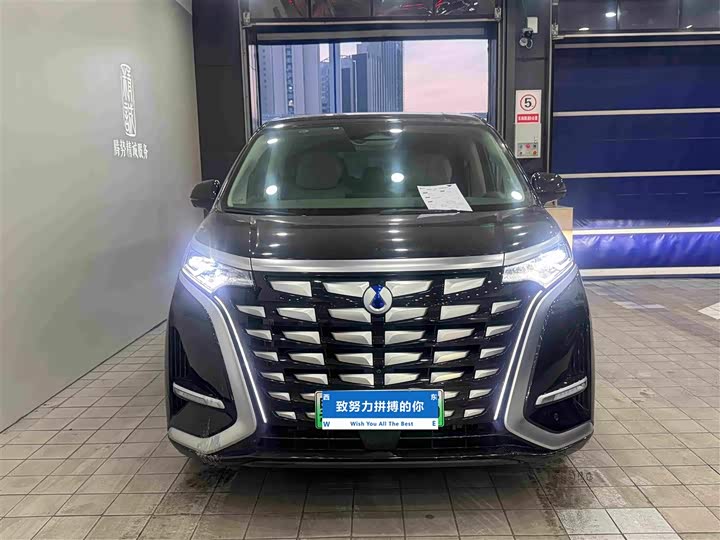 Фото 2 - Denza D9