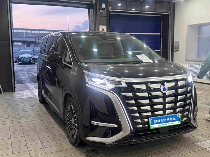 Фото 3 - Denza D9