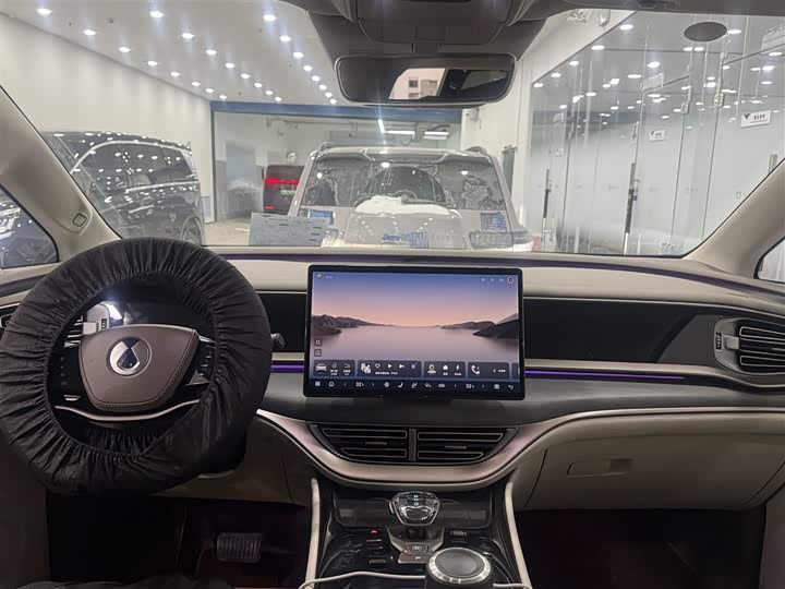 Фото 9 - Denza D9