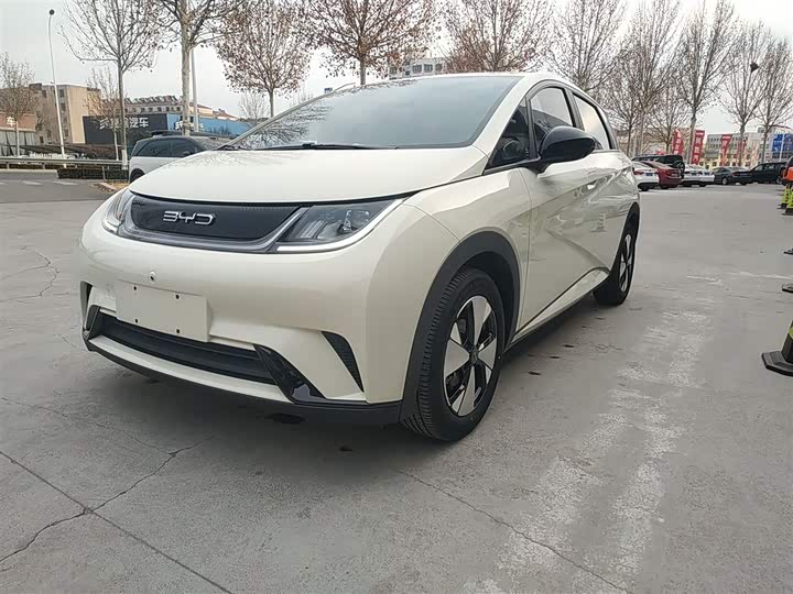 Фото 2 - BYD Dolphin