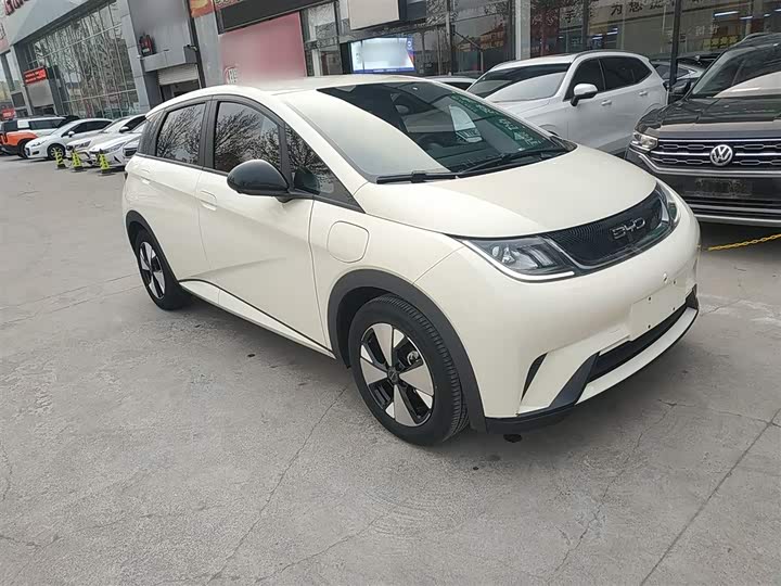 Фото 4 - BYD Dolphin