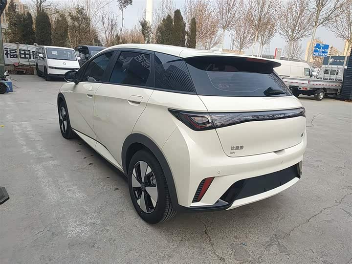 Фото 5 - BYD Dolphin