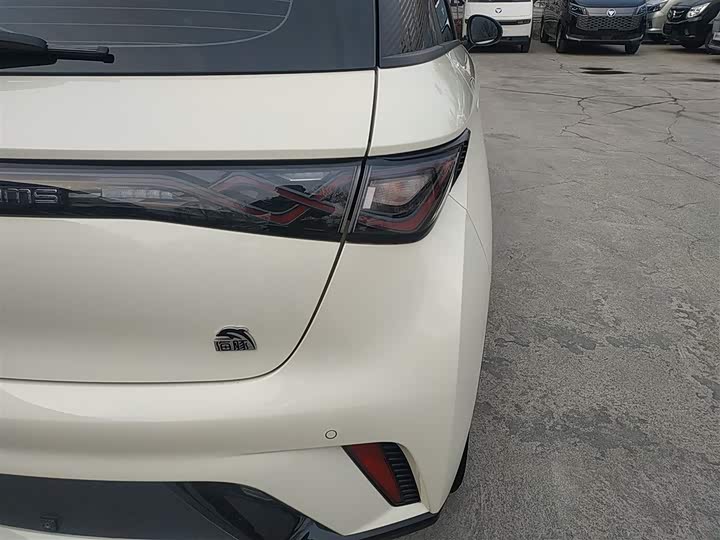 Фото 8 - BYD Dolphin